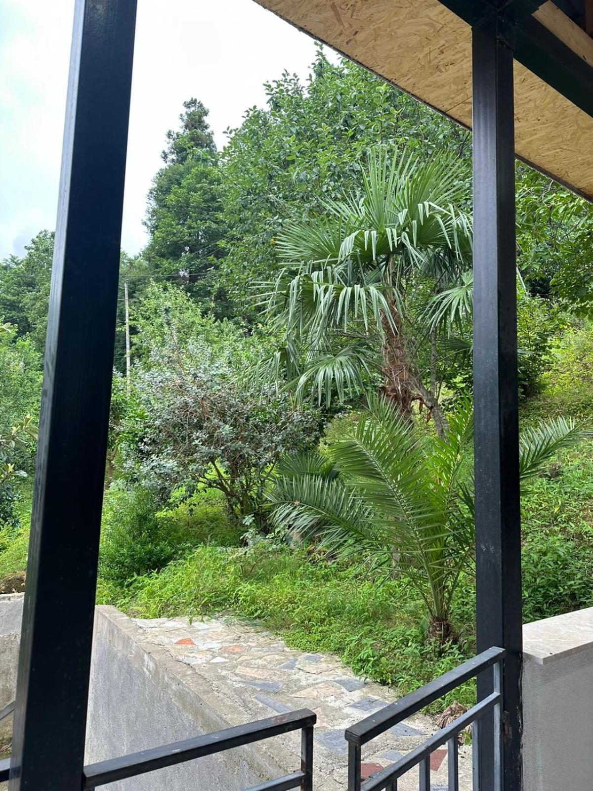 Shamil House Makhinjauri Exterior foto